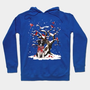 Border Collie Scarf Cardinal Snow Christmas Hoodie